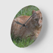 Orange Tabby Runde Wanduhr (Winkel)