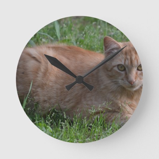 Orange Tabby Runde Wanduhr (Vorderseite)