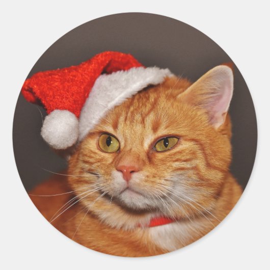 Orange Tabby Santa Cat Umschlag Aufklebers Sticker (Vorderseite)