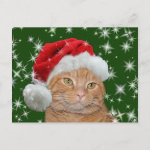 Orange Tabby Santa Feiertagspostkarte