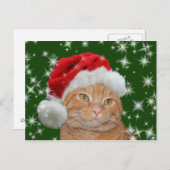Orange Tabby Santa Feiertagspostkarte (Vorne/Hinten)