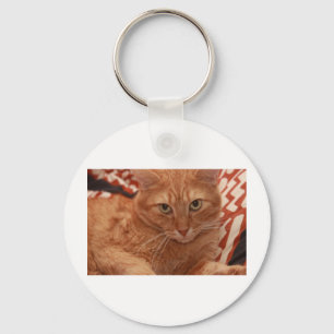 Orange Tabby Schlüsselanhänger