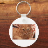 Orange Tabby Schlüsselanhänger (Vorderseite)