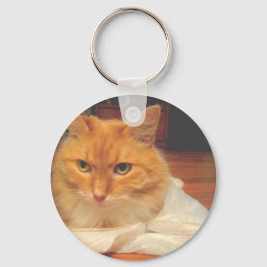 Orange Tabby Schlüsselanhänger (Vorderseite)