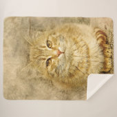 Orange Tabby Sherpadecke (Vorderseite (Horizontal))