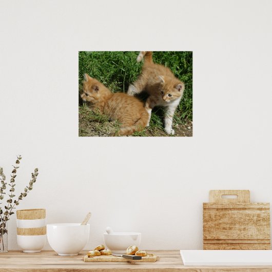 Orange Tabby Siblings Poster (Küche)