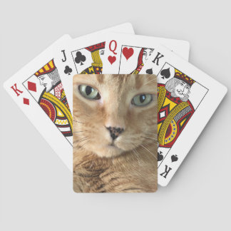 Orange Tabby-Spielkarten Spielkarten