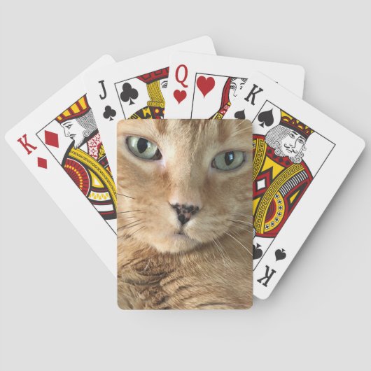 Orange Tabby-Spielkarten Spielkarten (Rückseite)