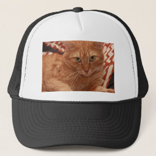 Orange Tabby Truckerkappe