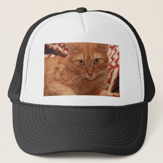 Orange Tabby Truckerkappe (Vorderseite)