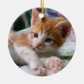 Orange Tabby u. weiße Kätzchen-Verzierung Keramik Ornament (Vorne)