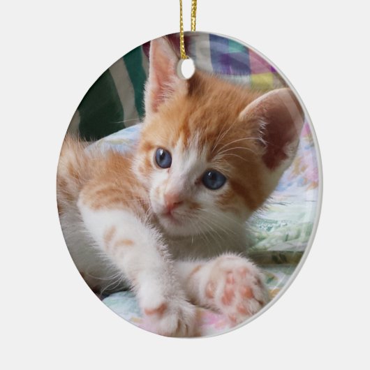 Orange Tabby u. weiße Kätzchen-Verzierung Keramik Ornament (Links)