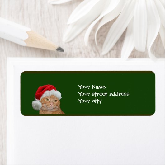 Orange Tabby Weihnachten (Insitu)