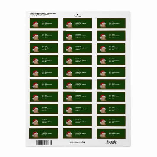 Orange Tabby Weihnachten (Vorne)