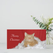 Orange Tabby Weihnachten (Stehend Vorderseite)