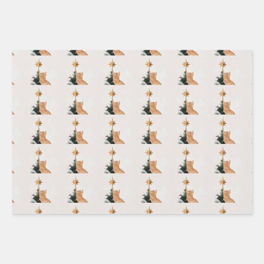 Orange Tabby Wrapping Paper Flat Sheet Set 3 Geschenkpapier Set (Vorderseite 2)