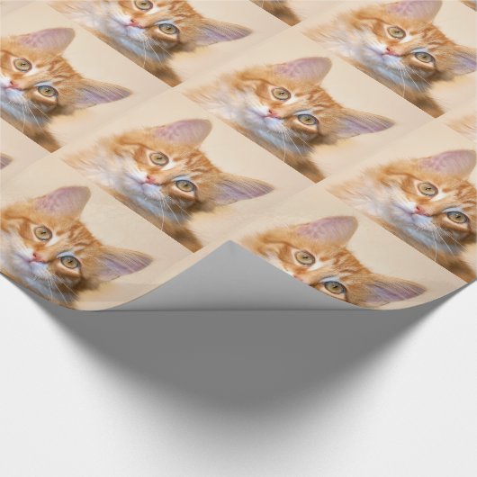 Orange Tabbykätzchen Geschenkpapier (Ecke)