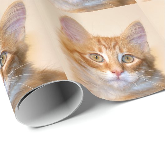 Orange Tabbykätzchen Geschenkpapier (Rolleneckpunkt)