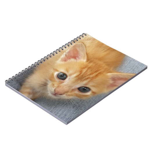 Orange Tabbykätzchen Notizblock (Linke Seite)