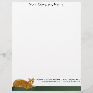 Orange Tabbykatze, die auf grünem Zaun sitzt Briefbogen