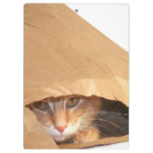 Orange Tabbykatze in der Papiertüte Klemmbrett (Rückseite)
