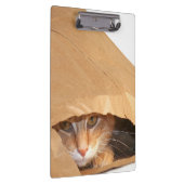Orange Tabbykatze in der Papiertüte Klemmbrett (Rechts)