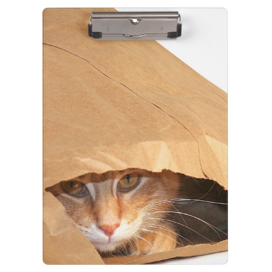 Orange Tabbykatze in der Papiertüte Klemmbrett (Vorderseite)