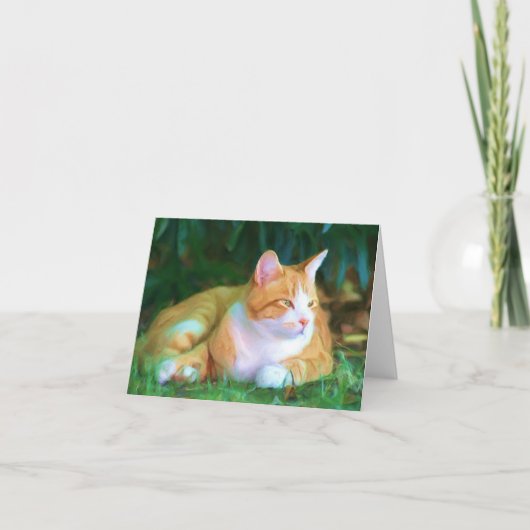 Orange Tabbykatze notecard Karte (Vorderseite)