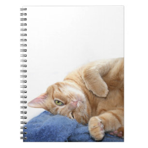 Orange Tabbykatze Notizblock