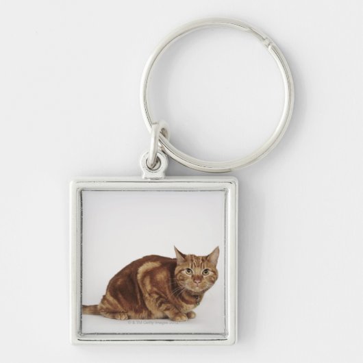 Orange Tabbykatze Schlüsselanhänger (Vorne)