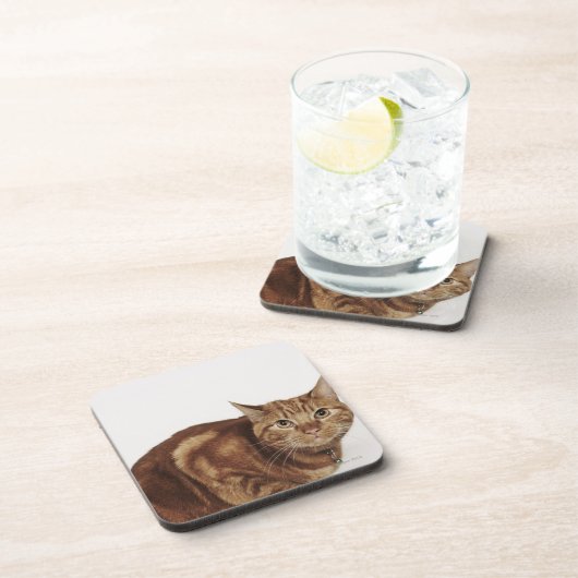 Orange Tabbykatze Untersetzer (Rechte Seite)
