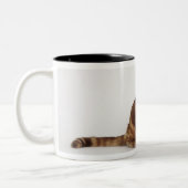 Orange Tabbykatze Zweifarbige Tasse (Links)