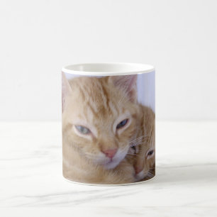 Orange Tabbys Kaffeetasse