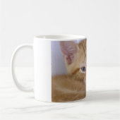 Orange Tabbys Kaffeetasse (Links)