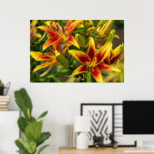 Orange Taglilie Art, kanadische Fotografie Poster (Heimbüro)