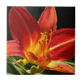 Orange Taglilie Bloom Floral Fliese (Vorderseite)