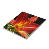Orange Taglilie Bloom Floral Fliese (Seite)