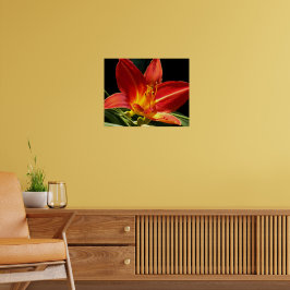 Orange Taglilie Bloom Floral Fotografie Poster