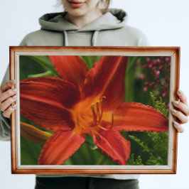 Orange Taglilie Bloom Floral Poster