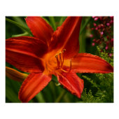 Orange Taglilie Bloom Floral Poster (Vorderseite)