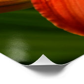 Orange Taglilie Bloom Floral Poster (Ecke)