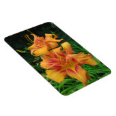 Orange Taglilie Blooms Magnet (Rechte Seite)
