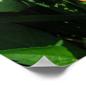 Orange Taglilie Poster (Ecke)