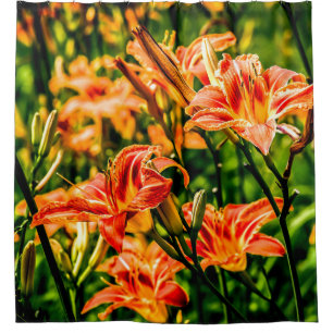 Orange Taglilien Blume Duschvorhang