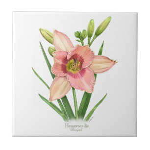 Orange Taglilien Botanische Kunst Fliese