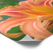 Orange Taglilien Poster (Ecke)