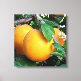 Orange - Tangelo Leinwanddruck