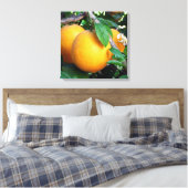 Orange - Tangelo Leinwanddruck (Insitu (Schlafzimmer))