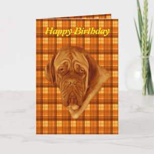 Orange Tartan French Bordeaux Dog, Geburtstagskart Karte