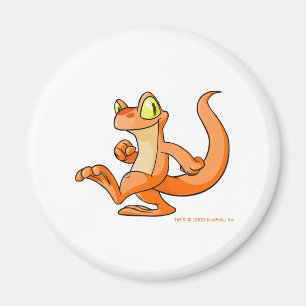 Orange Techo auf einer Suche Magnet